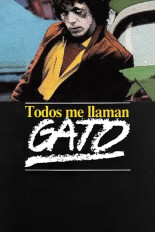 Todos me llaman gato