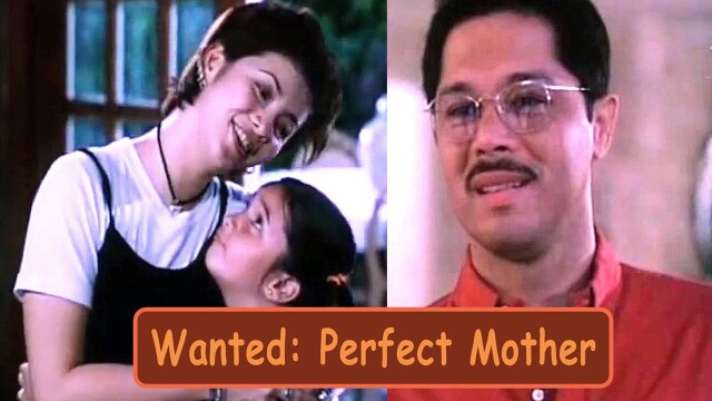 Wanted Perfect Mother