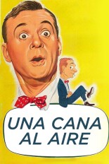 Una cana al aire