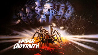 The Spider Labyrinth