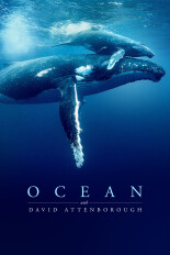 Ocean with David Attenborough