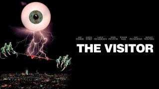 The Visitor