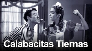 Calabacitas tiernas
