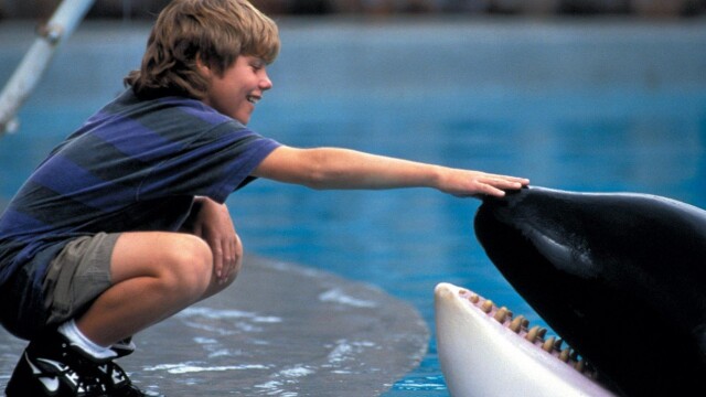 Free Willy