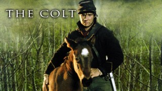 The Colt
