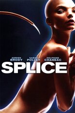 Splice