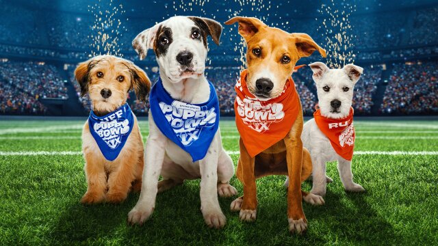 Puppy Bowl XIX