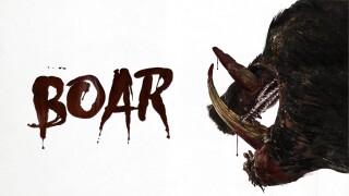 Boar