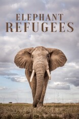 Elephant Refugees