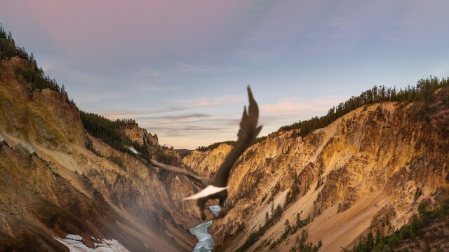 Yellowstone: America's First National Park