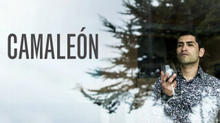 Camaleón