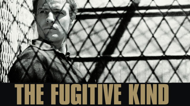 The Fugitive Kind