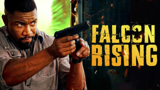 Falcon Rising