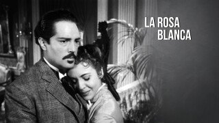 La rosa blanca