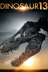 Dinosaur 13