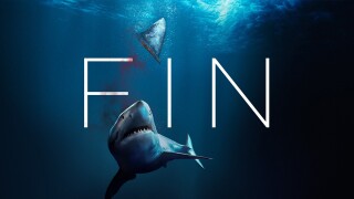 Fin