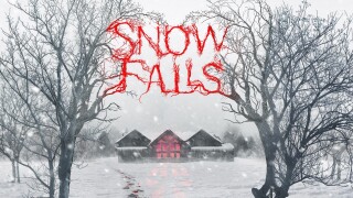 Snow Falls