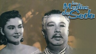 Las medias de seda