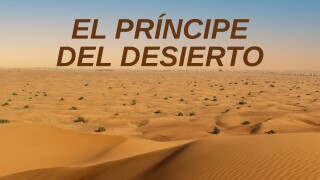 El príncipe del desierto
