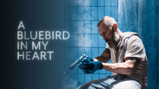A Bluebird in My Heart