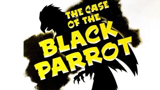 The Case of the Black Parrot