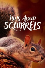 Nuts About Squirrels