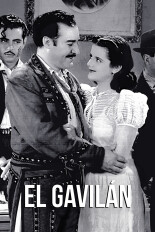 El gavilán