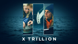 X-Trillion