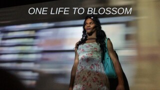 One Life to Blossom