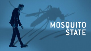Mosquito State