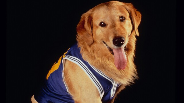 Air Bud