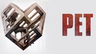 Pet
