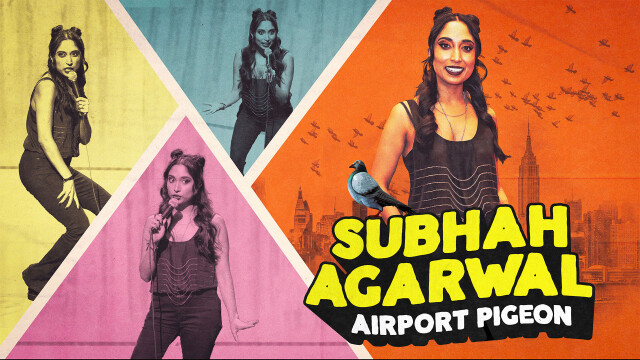 Subhah Agarwal: Airport Pigeon