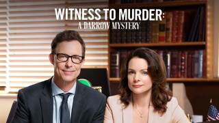 Witness to Murder: A Darrow Mystery