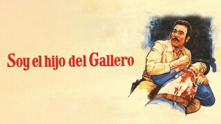 Soy el hijo del gallero