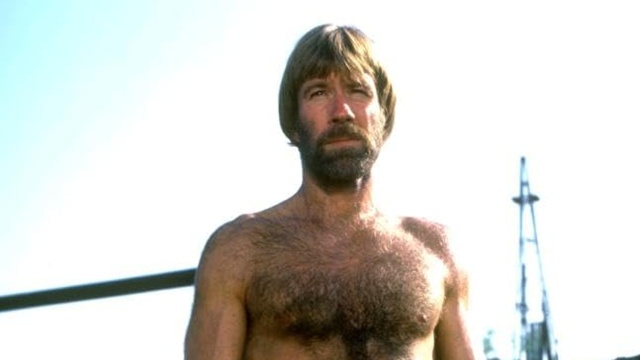 Lone Wolf McQuade