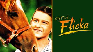 My Friend Flicka