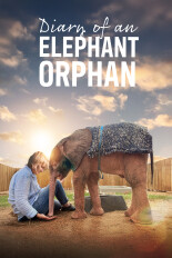 Diary of an Elephant Orphan