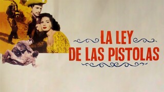 Ley de las pistolas