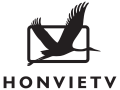 HONVIETV