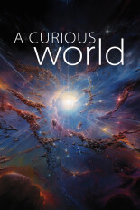 A Curious World