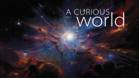 A Curious World