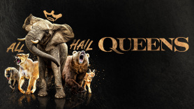 Queens