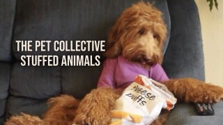 The Pet Collective Stuffed Animals