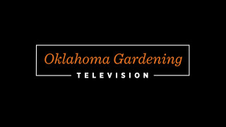 Oklahoma Gardening