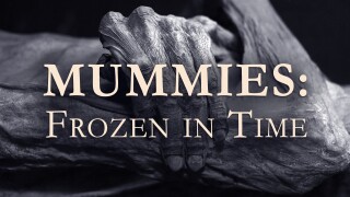Mummies: Frozen in Time