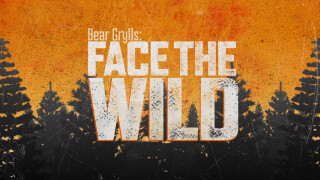 Bear Grylls: Face the Wild