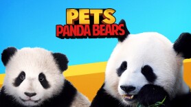 Pets: Panda Bears