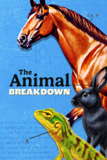 The Animal Breakdown