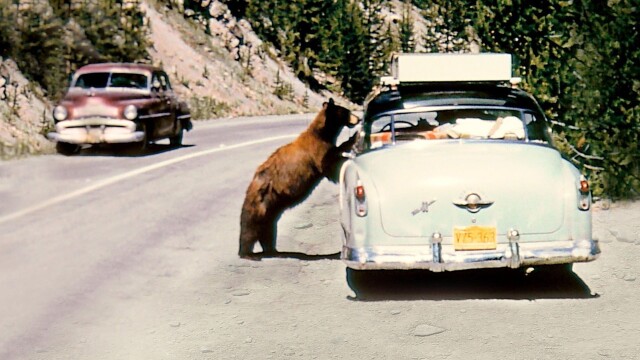 America's National Parks at 100